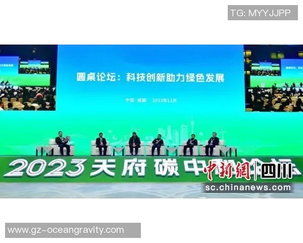 深圳排球队灵活性探讨与战术创新的深度分析与展望